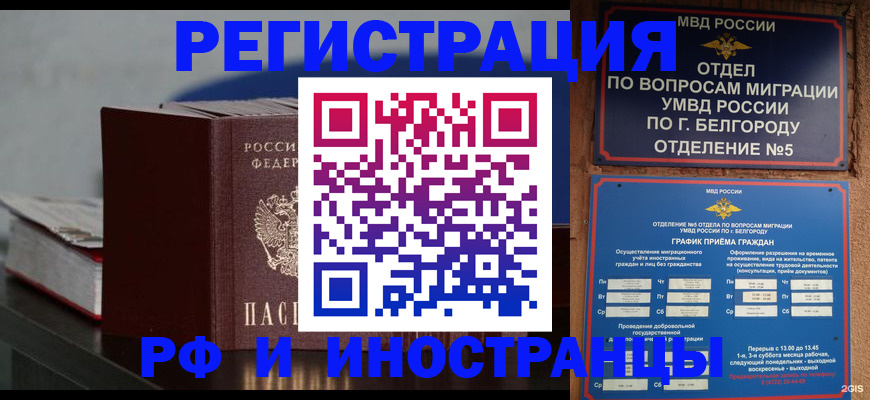 прописка 2025 в Опочке
